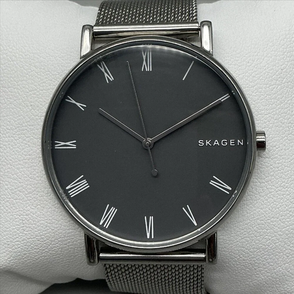 Skagen Signatur Mens Watch 40mm Gray Dial Mesh Stainless Steel New Battery